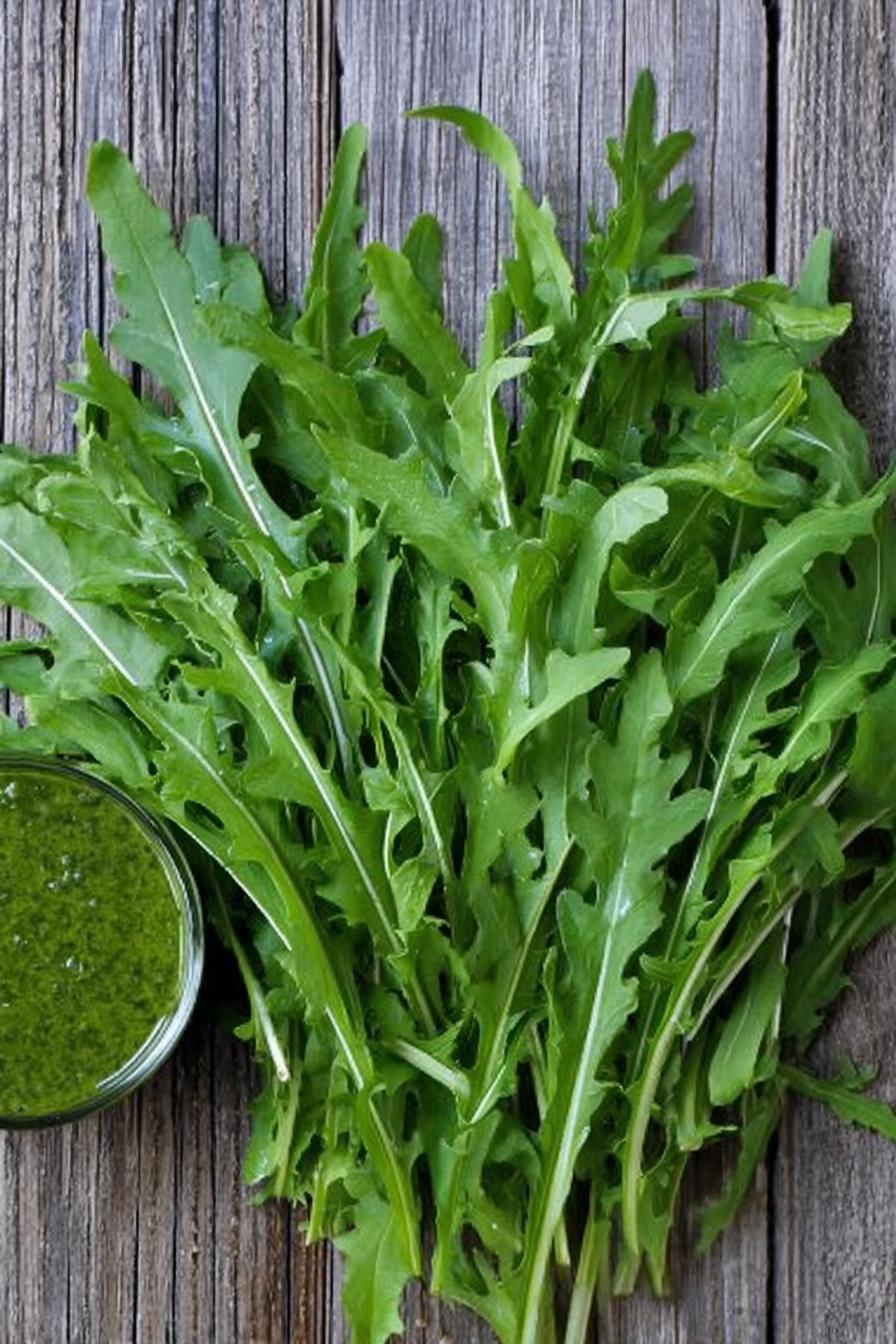 Dandelion Pesto